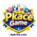PK ACE Game
